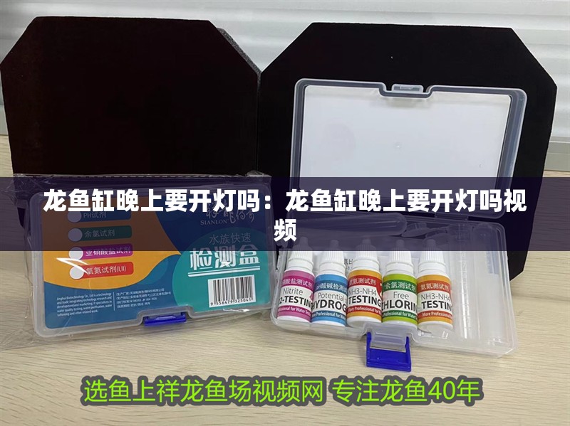 龍魚缸晚上要開燈嗎：龍魚缸晚上要開燈嗎視頻 龍魚缸晚上要開燈嗎：龍魚缸晚上要開燈嗎視頻 水族問答