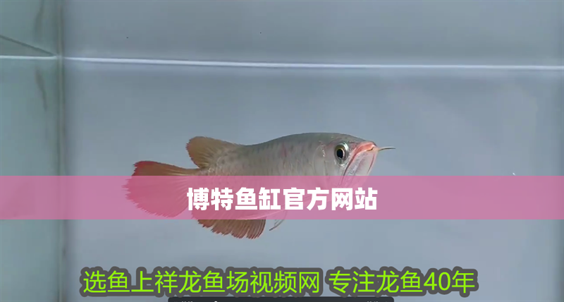 博特魚缸官方網(wǎng)站