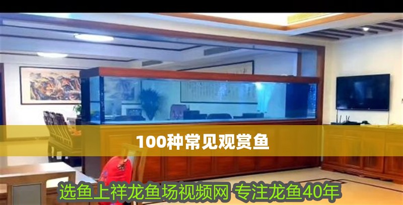 100種常見觀賞魚
