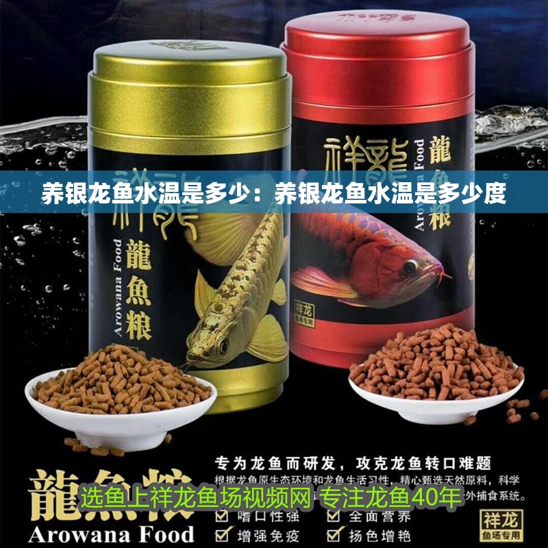養(yǎng)銀龍魚水溫是多少：養(yǎng)銀龍魚水溫是多少度