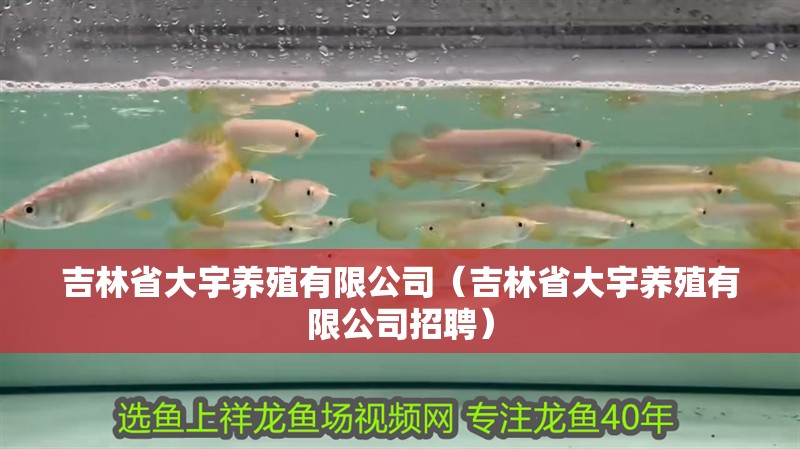 吉林省大宇養殖有限公司（吉林省大宇養殖有限公司招聘）