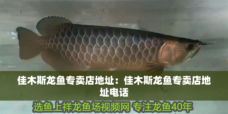 佳木斯龍魚專賣店地址：佳木斯龍魚專賣店地址電話