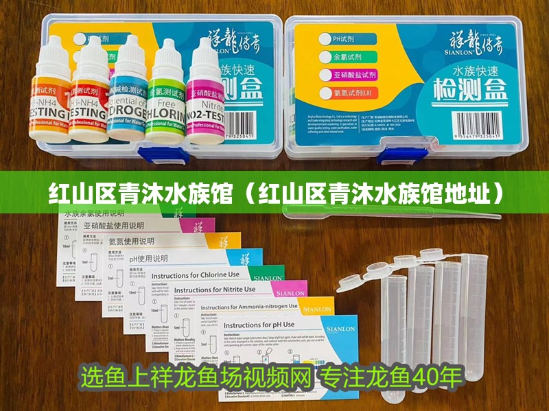 紅山區(qū)青沐水族館（紅山區(qū)青沐水族館地址）