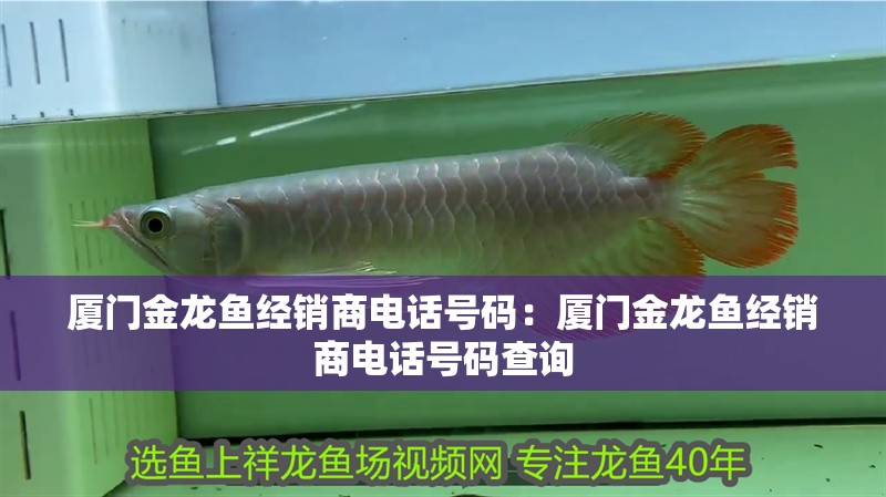 廈門金龍魚經銷商電話號碼：廈門金龍魚經銷商電話號碼查詢