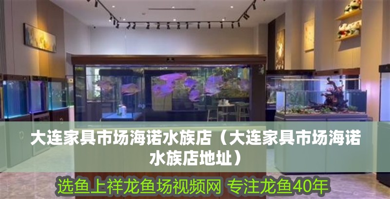 大連家具市場(chǎng)海諾水族店（大連家具市場(chǎng)海諾水族店地址）