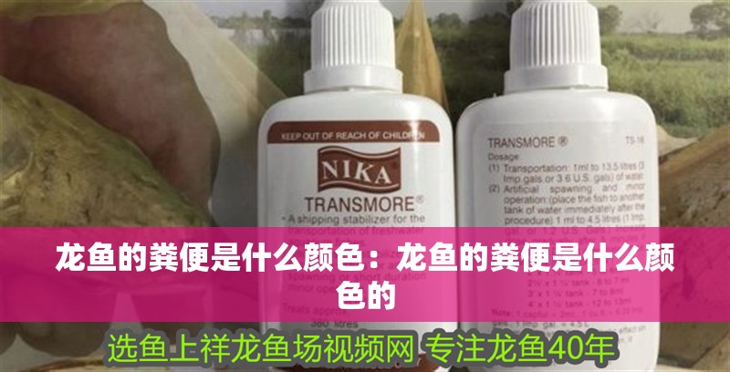 龍魚的糞便是什么顏色：龍魚的糞便是什么顏色的