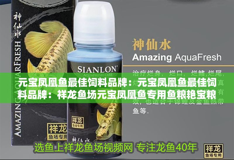 元寶鳳凰魚最佳飼料品牌：元寶鳳凰魚最佳飼料品牌：祥龍魚場元寶鳳凰魚專用魚糧艷寶糧
