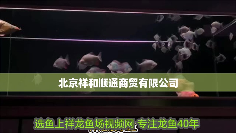 北京祥和順通商貿有限公司