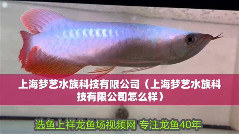 上海夢藝水族科技有限公司（上海夢藝水族科技有限公司怎么樣）