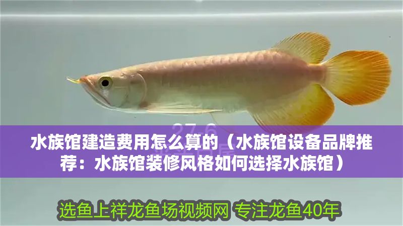 水族館建造費用怎么算的（水族館設備品牌推薦：水族館裝修風格如何選擇水族館）