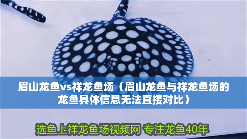 眉山龍魚vs祥龍魚場（眉山龍魚與祥龍魚場的龍魚具體信息無法直接對比）