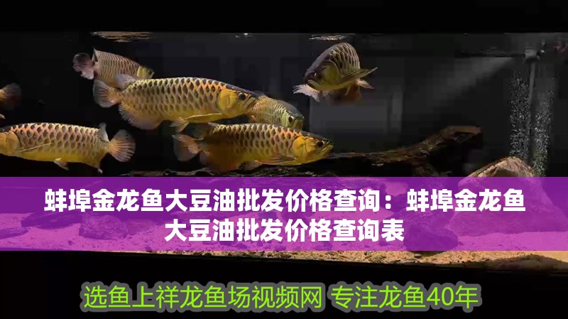 森森604容量多大 森森魚缸 森森604容量多大 森森604容量多大 森森魚缸