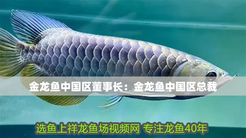 金龍魚中國區董事長：金龍魚中國區總裁