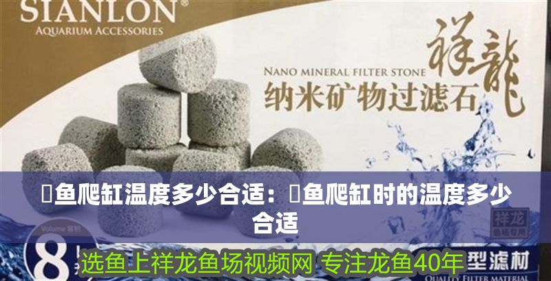 魟魚爬缸溫度多少合適：魟魚爬缸時的溫度多少合適