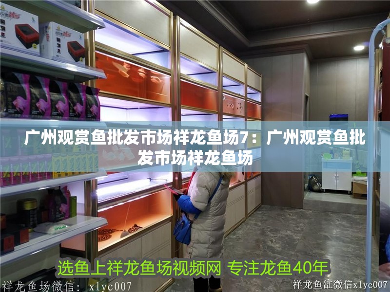 廣州觀賞魚批發市場祥龍魚場7：廣州觀賞魚批發市場祥龍魚場