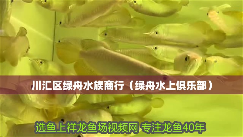 川匯區綠舟水族商行（綠舟水上俱樂部）