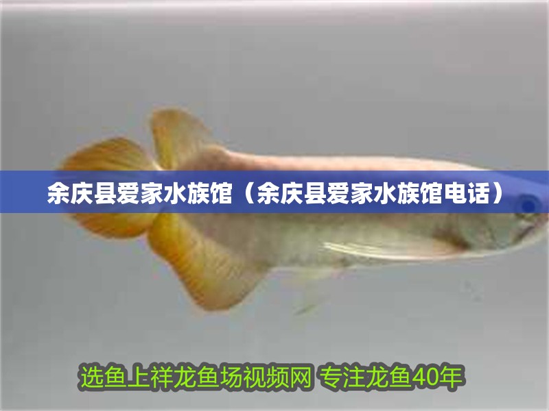 余慶縣愛家水族館（余慶縣愛家水族館電話）