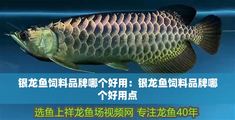 銀龍魚飼料品牌哪個好用：銀龍魚飼料品牌哪個好用點