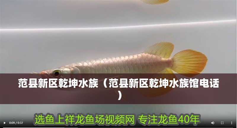 范縣新區乾坤水族（范縣新區乾坤水族館電話）