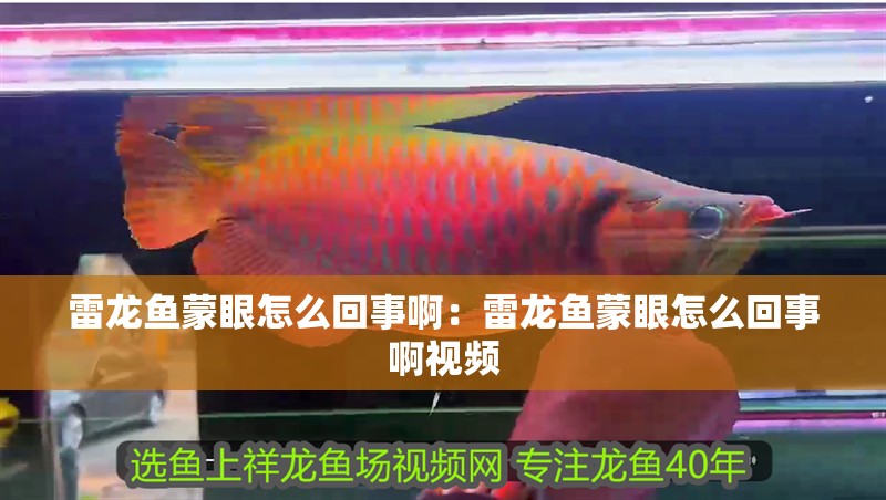 雷龍魚(yú)蒙眼怎么回事啊：雷龍魚(yú)蒙眼怎么回事啊視頻