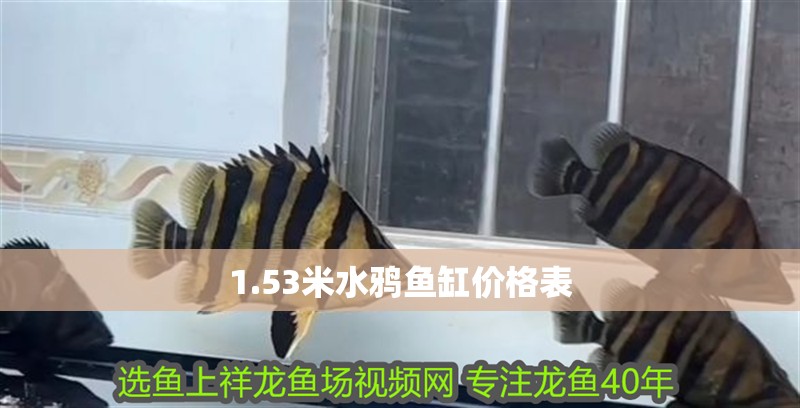 1.53米水鴉魚缸價(jià)格表