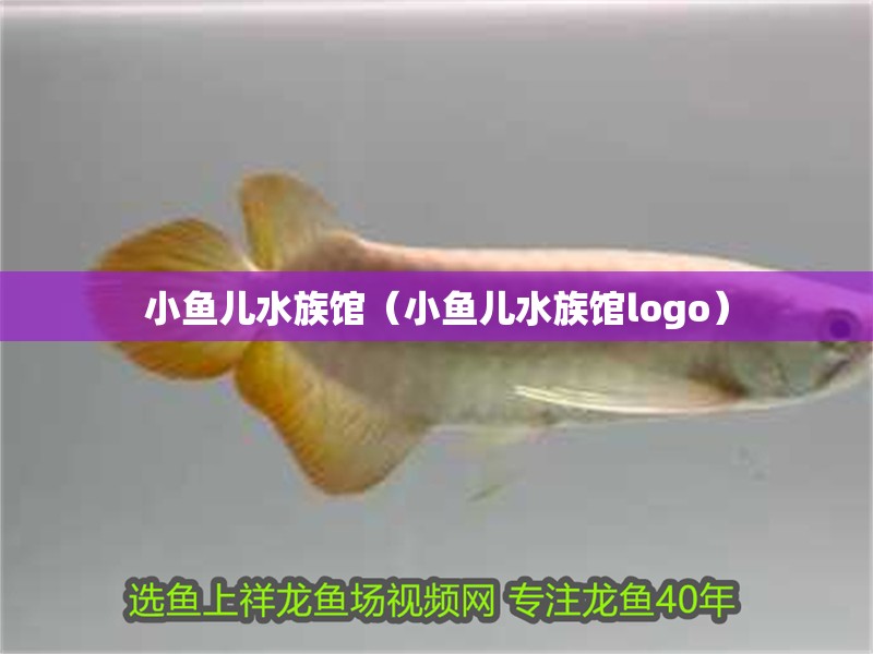 小魚兒水族館（小魚兒水族館logo）