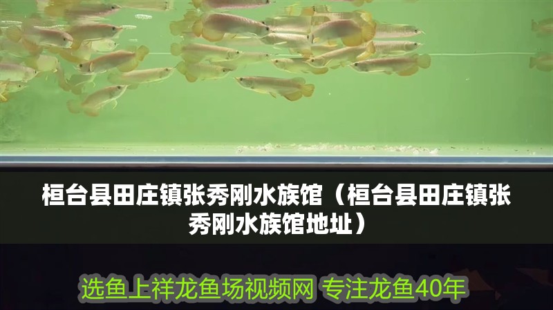 桓臺縣田莊鎮(zhèn)張秀剛水族館（桓臺縣田莊鎮(zhèn)張秀剛水族館地址）