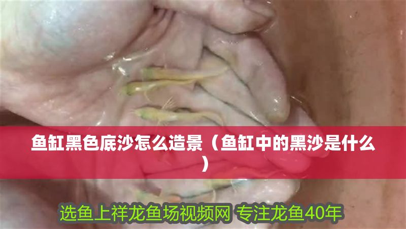 魚缸黑色底沙怎么造景（魚缸中的黑沙是什么） 魚缸黑色底沙怎么造景（魚缸中的黑沙是什么） 銀龍魚百科 第1張