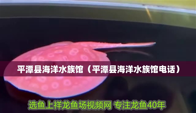 平潭縣海洋水族館（平潭縣海洋水族館電話）