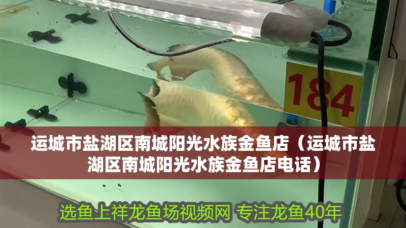 運城市鹽湖區南城陽光水族金魚店（運城市鹽湖區南城陽光水族金魚店電話）