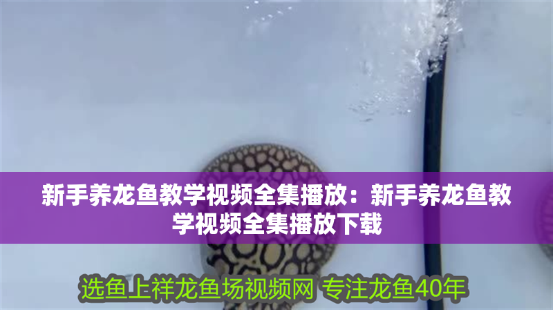 哈爾濱居然之家水族館飾品經營部（哈爾濱居然之家哪個店最全）