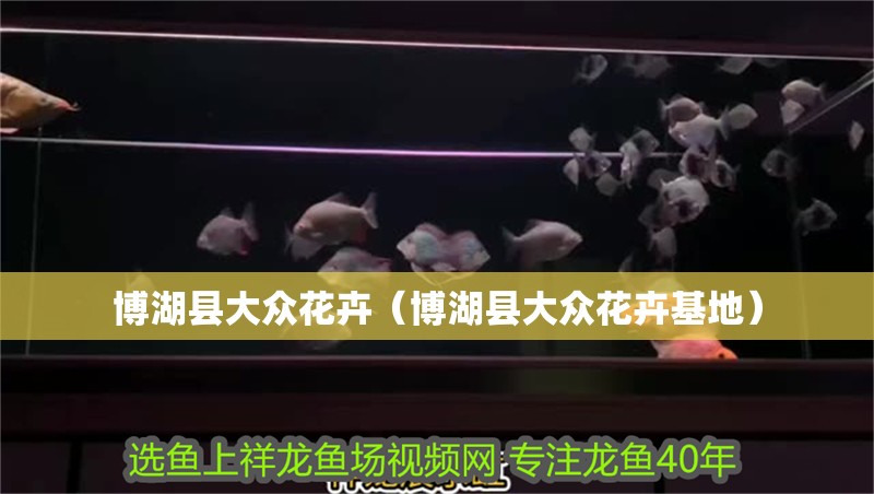 <strong><mark>博湖</mark></strong>縣大眾花卉（<strong><mark>博湖</mark></strong>縣大眾花卉基地）