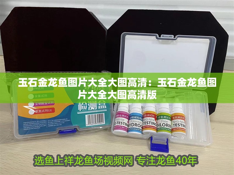 玉石金龍魚圖片大全大圖高清：玉石金龍魚圖片大全大圖高清版