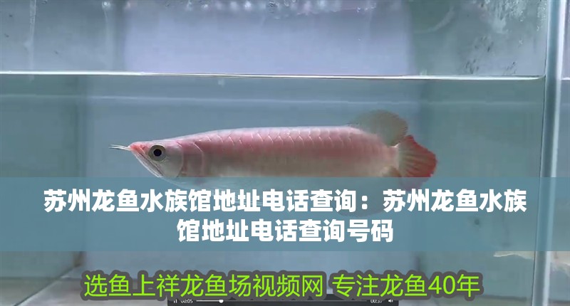 蘇州龍魚水族館地址電話查詢：蘇州龍魚水族館地址電話查詢號碼