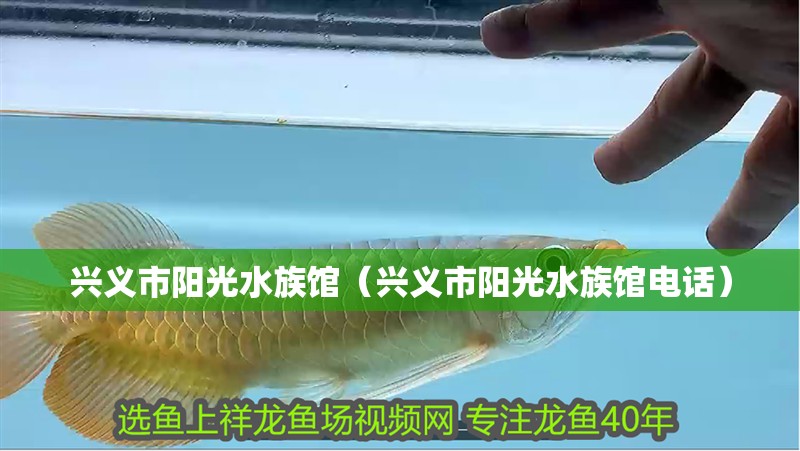 興義市陽光水族館（興義市陽光水族館電話）