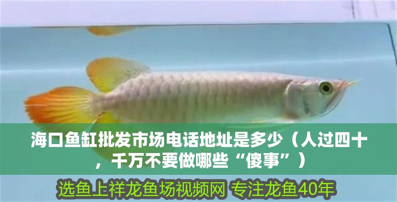 海口魚缸批發市場電話地址是多少（人過四十，千萬不要做哪些“傻事”）