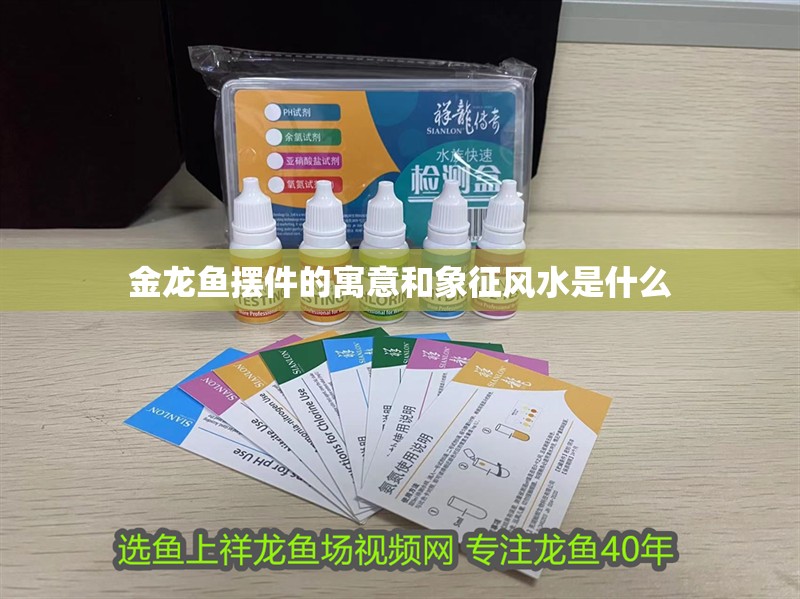 金龍魚擺件的寓意和象征風水是什么