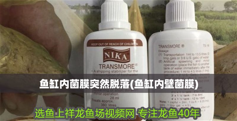 魚缸內(nèi)菌膜突然脫落(魚缸內(nèi)壁菌膜)