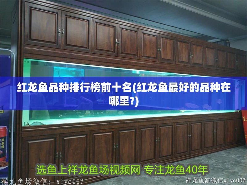 紅龍魚品種排行榜前十名(紅龍魚最好的品種在哪里?)