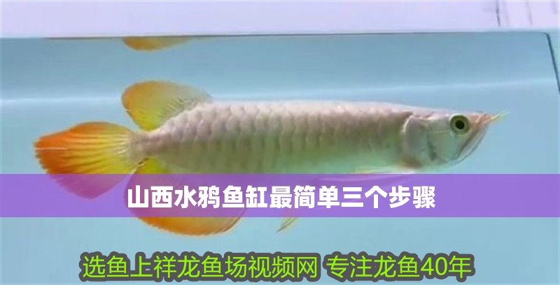山西水鴉魚缸最簡單三個(gè)步驟 山西水鴉魚缸最簡單三個(gè)步驟 龍魚百科 第1張