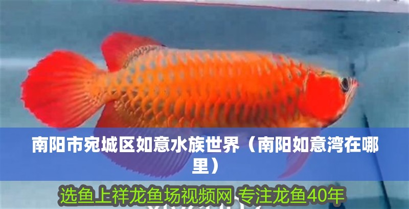 南陽市宛城區如意水族世界（南陽如意灣在哪里） 南陽市宛城區如意水族世界（南陽如意灣在哪里） 全國水族館企業名錄 第1張