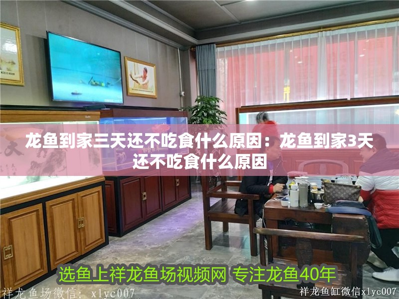 龍魚(yú)到家三天還不吃食什么原因：龍魚(yú)到家3天還不吃食什么原因