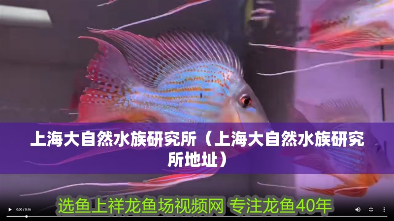 上海大自然水族研究所（上海大自然水族研究所地址）