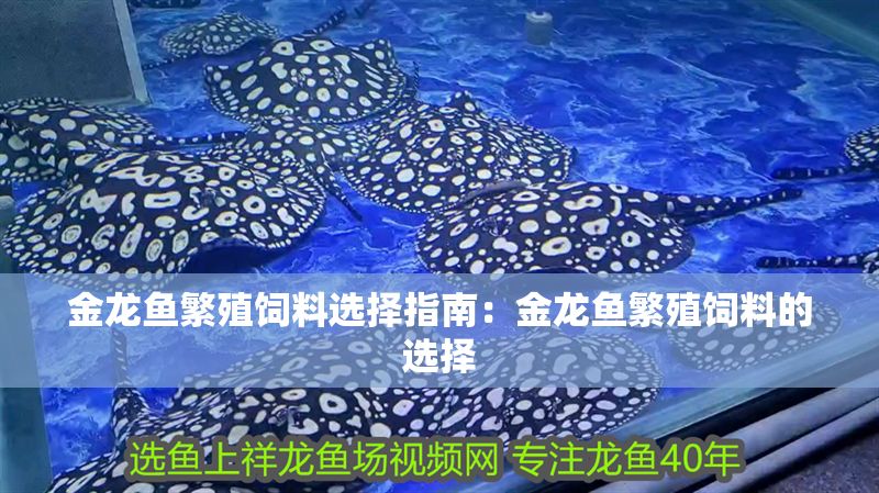 金龍魚繁殖飼料選擇指南：金龍魚繁殖飼料的選擇 金龍魚繁殖飼料選擇指南：金龍魚繁殖飼料的選擇 金龍魚百科 第2張
