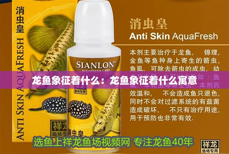 龍魚(yú)象征著什么：龍魚(yú)象征著什么寓意