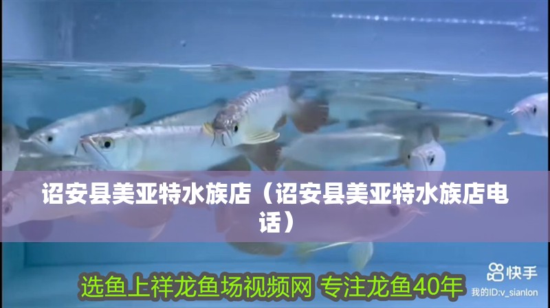 詔安縣美亞特水族店（詔安縣美亞特水族店電話） 詔安縣美亞特水族店（詔安縣美亞特水族店電話） 全國水族館企業名錄 第1張