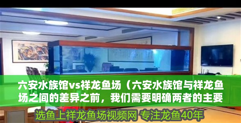 六安水族館vs祥龍魚場（六安水族館與祥龍魚場之間的差異之前，我們需要明確兩者的主要業務和特點）