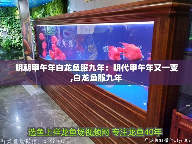 明朝甲午年白龍魚服九年：明代甲午年又一變,白龍魚服九年 明朝甲午年白龍魚服九年：明代甲午年又一變,白龍魚服九年 水族問答