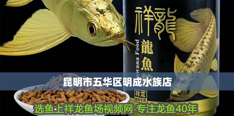 昆明市五華區明成水族店 全國水族館企業名錄 第2張 昆明市五華區明成水族店 昆明市五華區明成水族店 全國水族館企業名錄 第2張