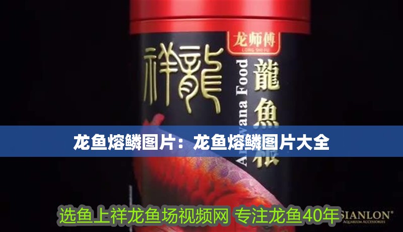 龍魚熔鱗圖片：龍魚熔鱗圖片大全